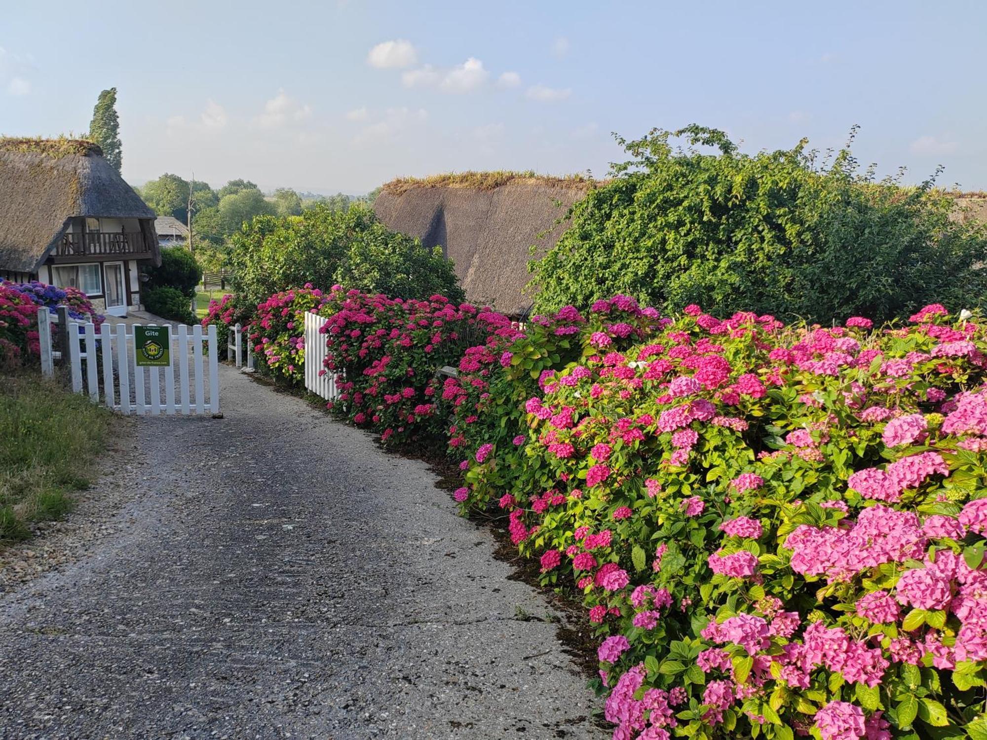 Villa La Maraiquaise Marais-Vernier Exterior foto