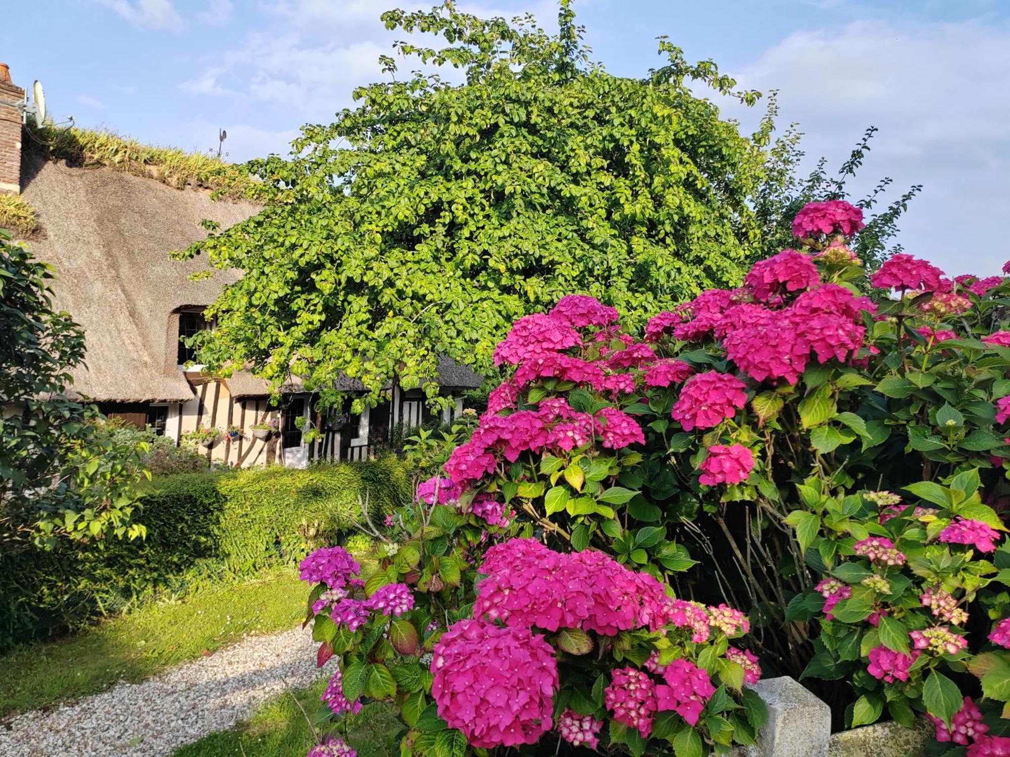Villa La Maraiquaise Marais-Vernier Exterior foto